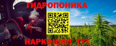 спиды Новозыбков