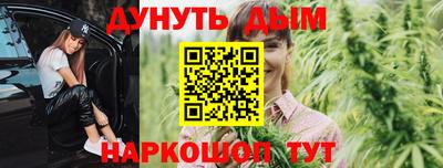 спиды Новозыбков