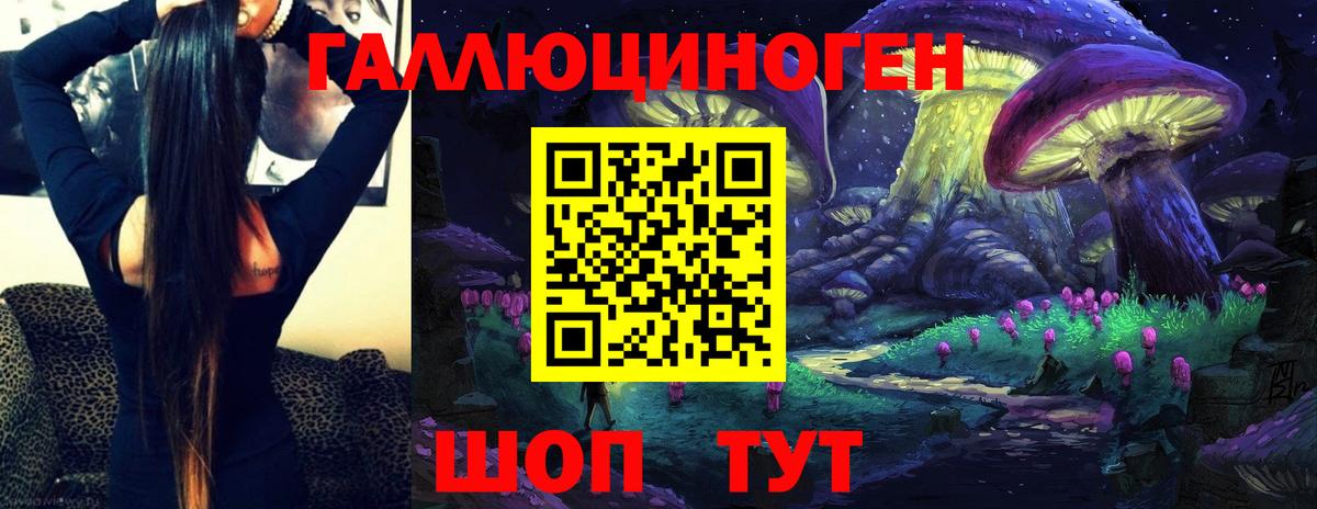 Сухой Лог  продажа наркотиков  Вход с VPN  Псилоцибиновые грибы ЛСД 