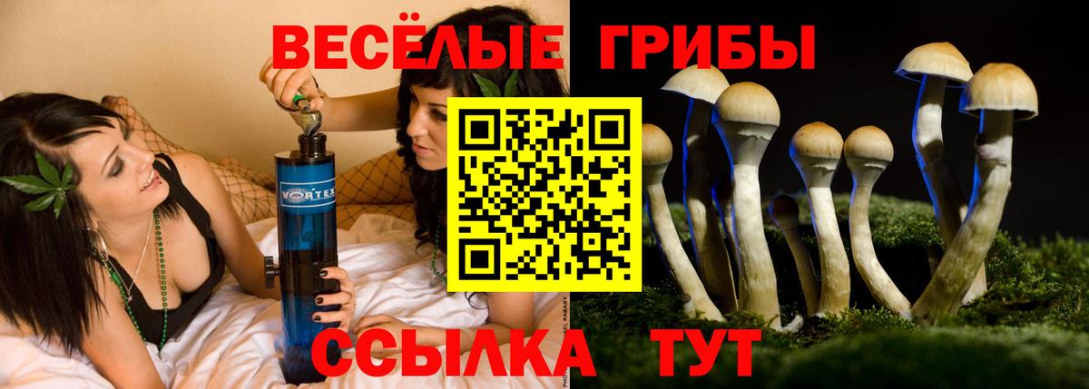 Галлюциногенные грибы Psilocybine cubensis Сухой Лог